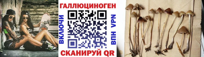 Псилоцибиновые грибы Psilocybine cubensis  купить наркотик  Бузулук 